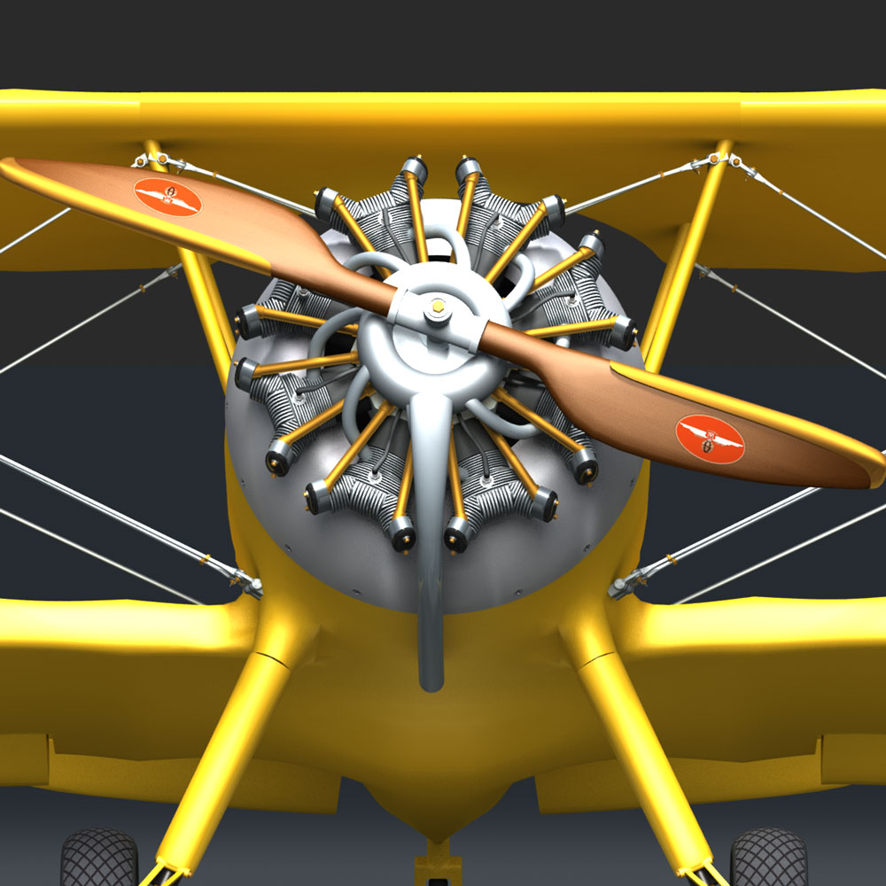 Steerman Bi-Plane